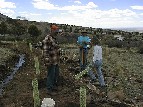 Irrigating New Trees at Valley View - Teresa Seitz